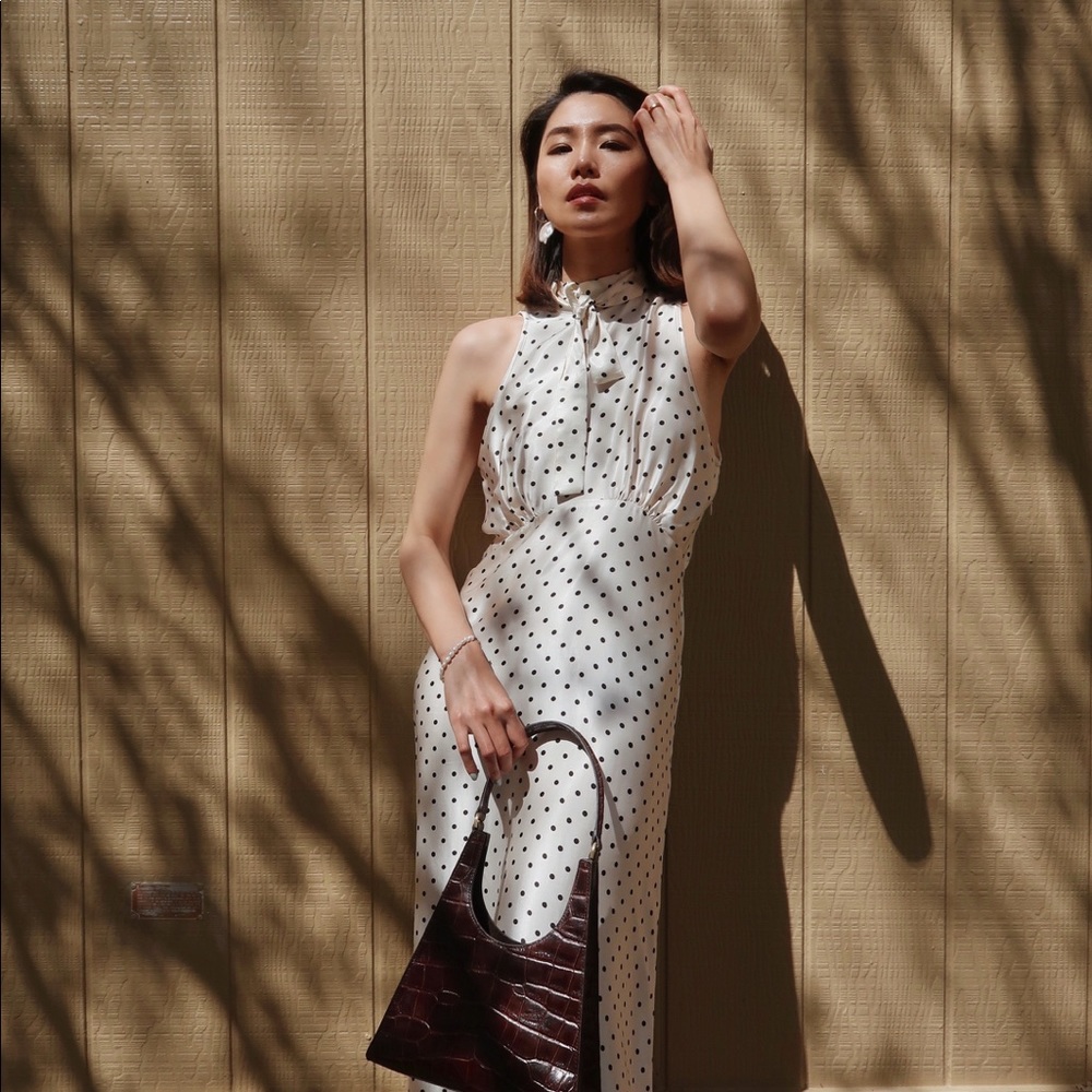 Zara Polka Dot Dress